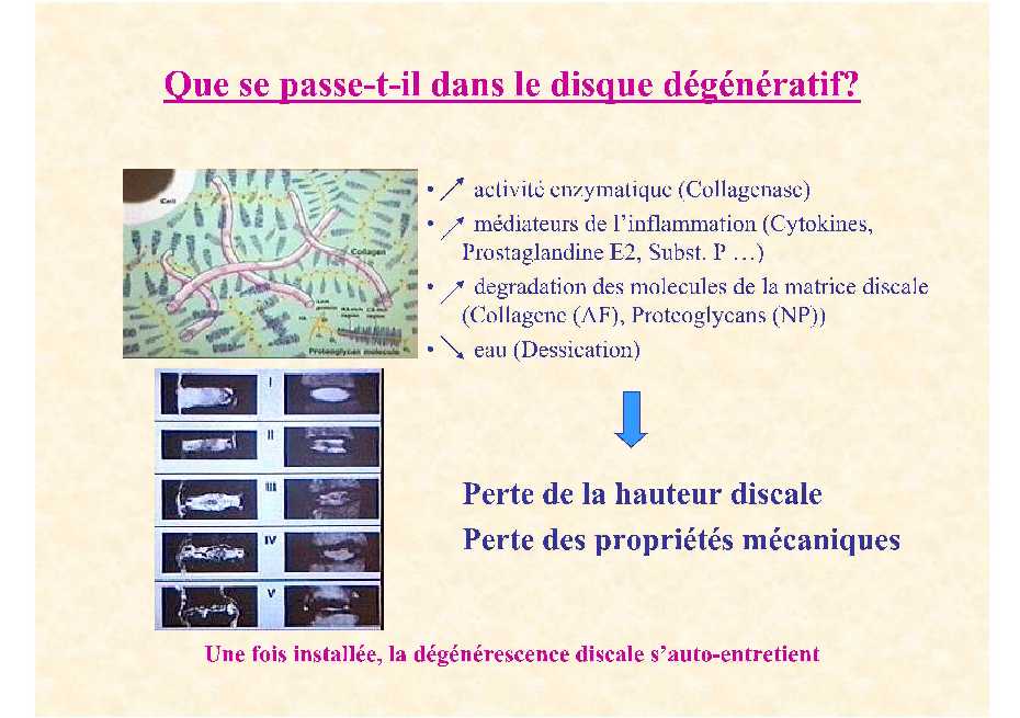 Dr. Lecomte